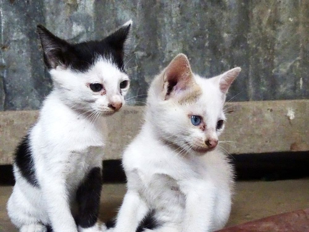 Photograph by Islam Shahidul