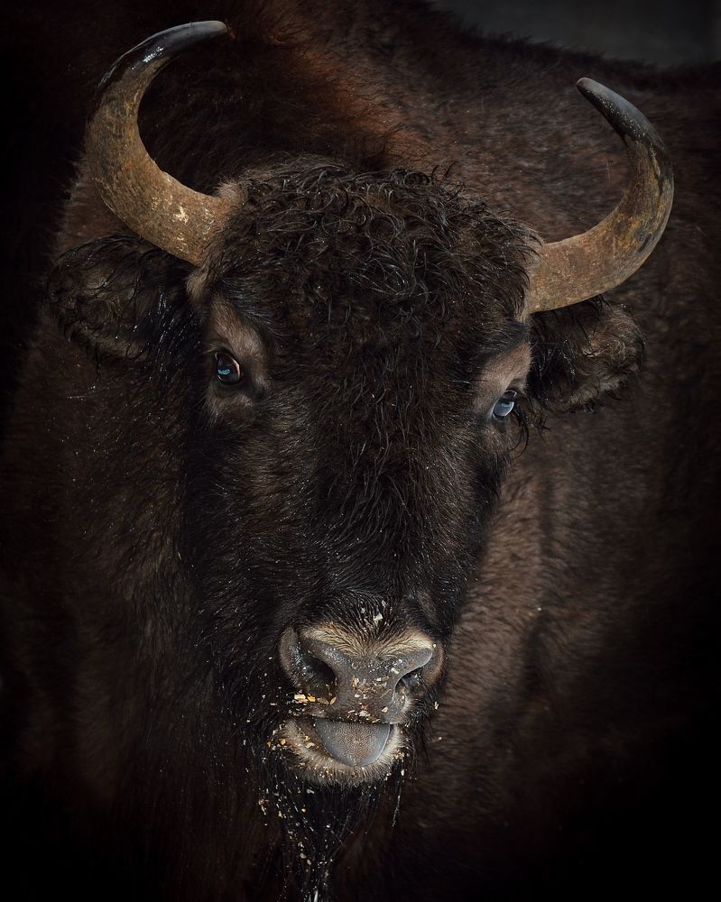 Фотография автора Сергей Протасов