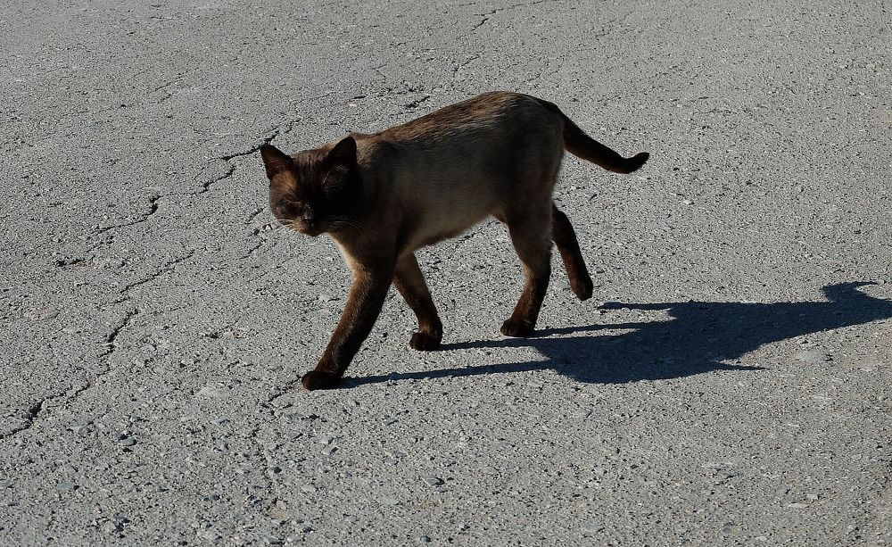 Photograph by Ираида Стародубцева