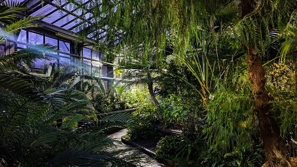 Photograph by Дмитрий Скрыльников