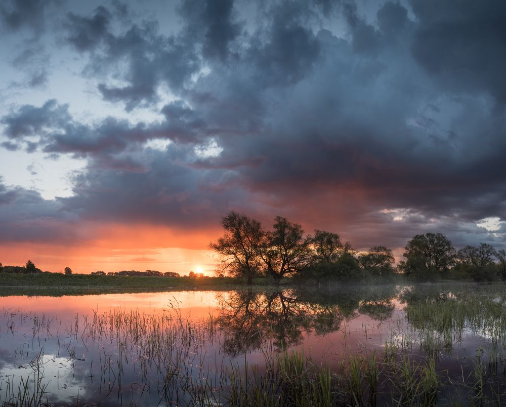 Photograph by Роман Фабричный