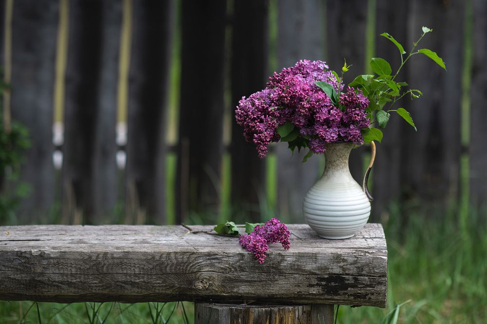 Photograph by Юлия Борт