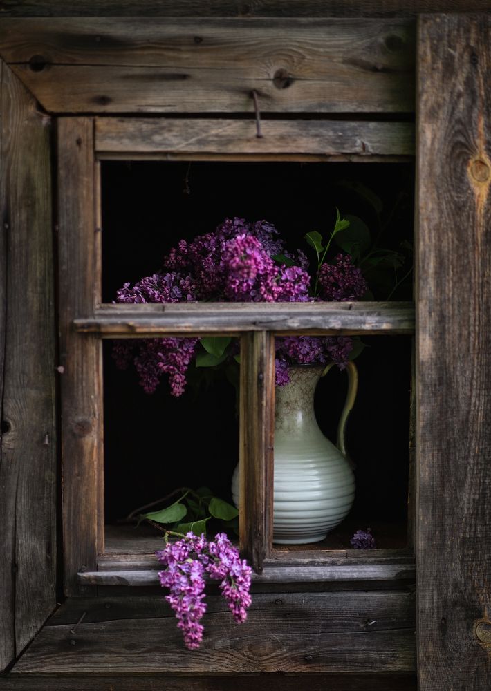 Photograph by Юлия Борт