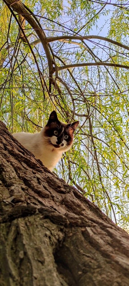 Photograph by Руслан Шулешко