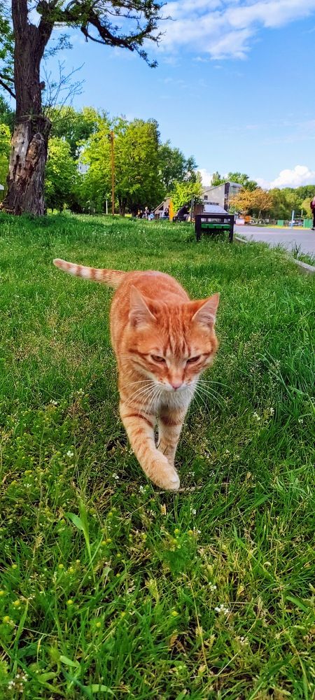 Photograph by Руслан Шулешко