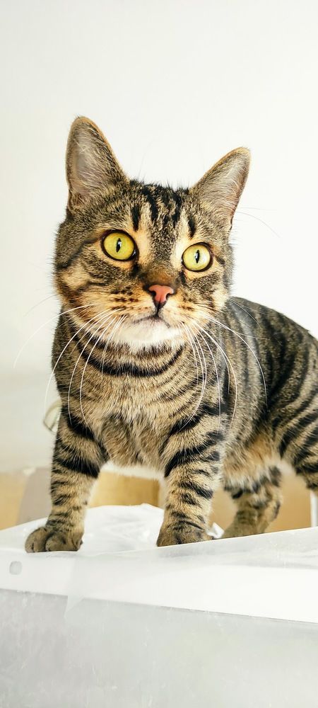 Photograph by Руслан Шулешко