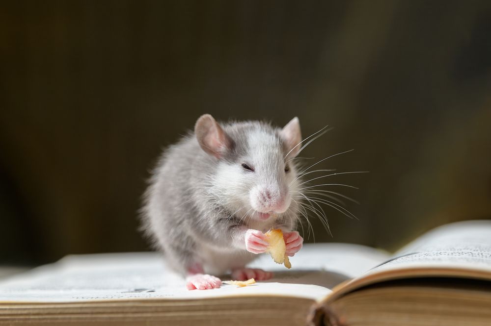 Photograph by Анастасия Мельник