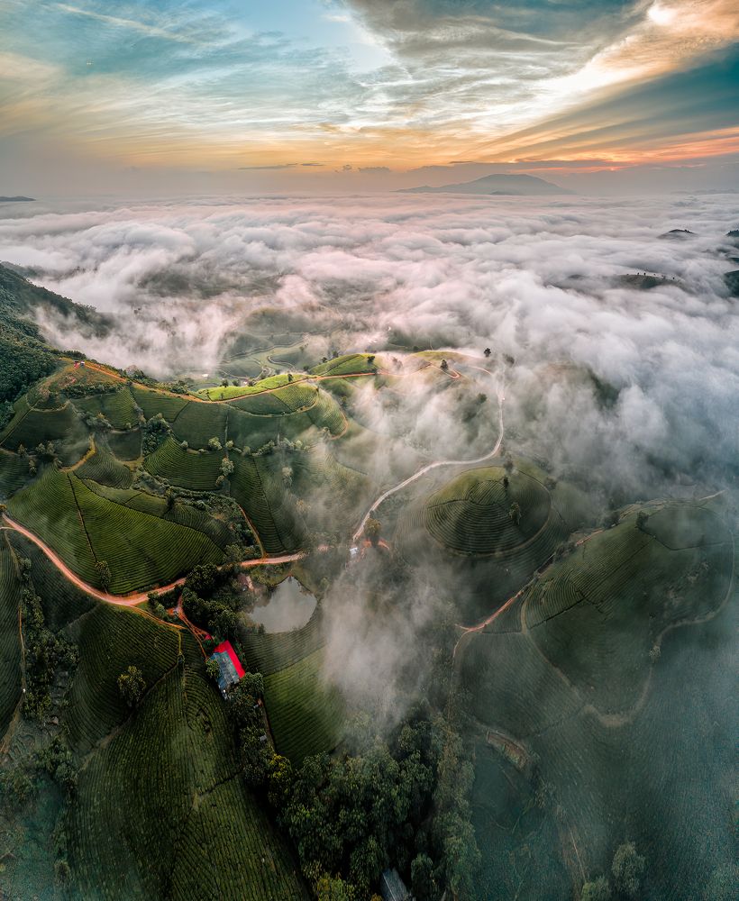 Photograph by Ngoc Minh Nguyen The