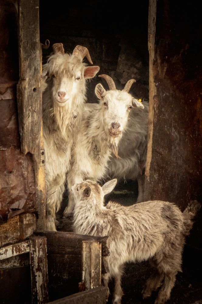 Photograph by Саша Литвин