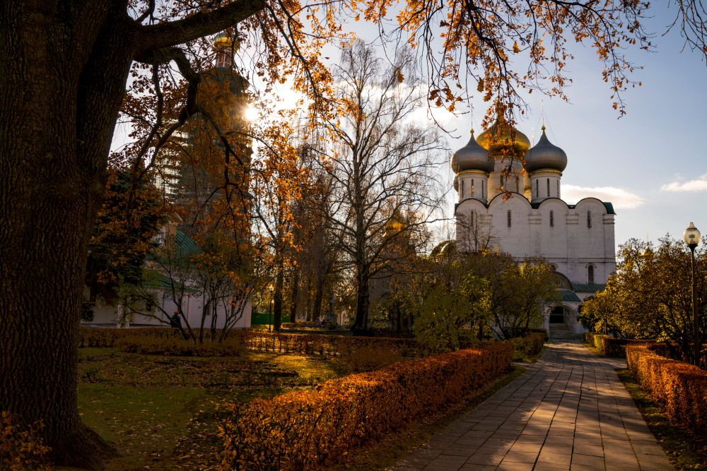 Photograph by Ксения Черных