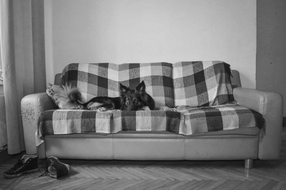 Photograph by Ольга Грахова