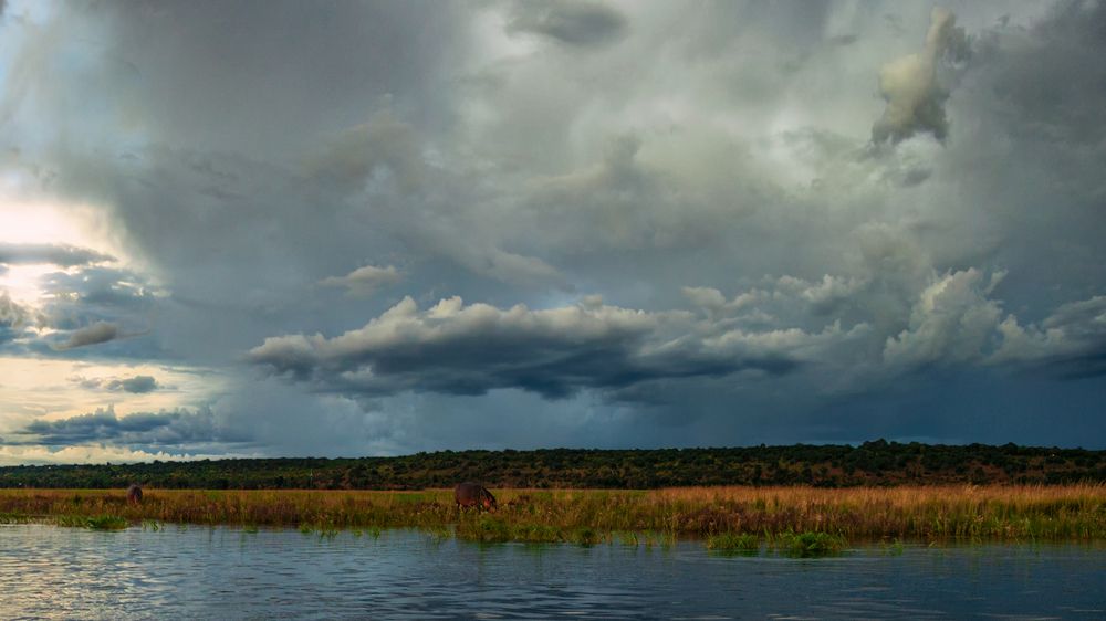 Photograph by Евгений Шварцман