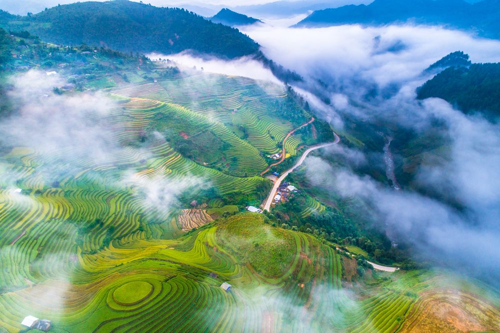 Photograph by TRAN QUY