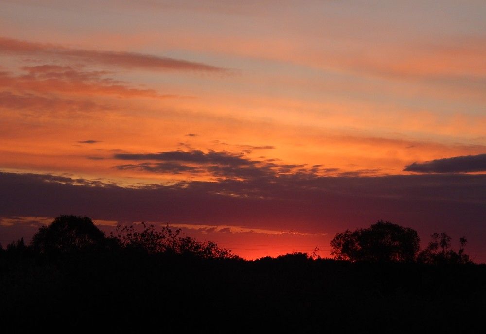 Photograph by Ирина Самойленко