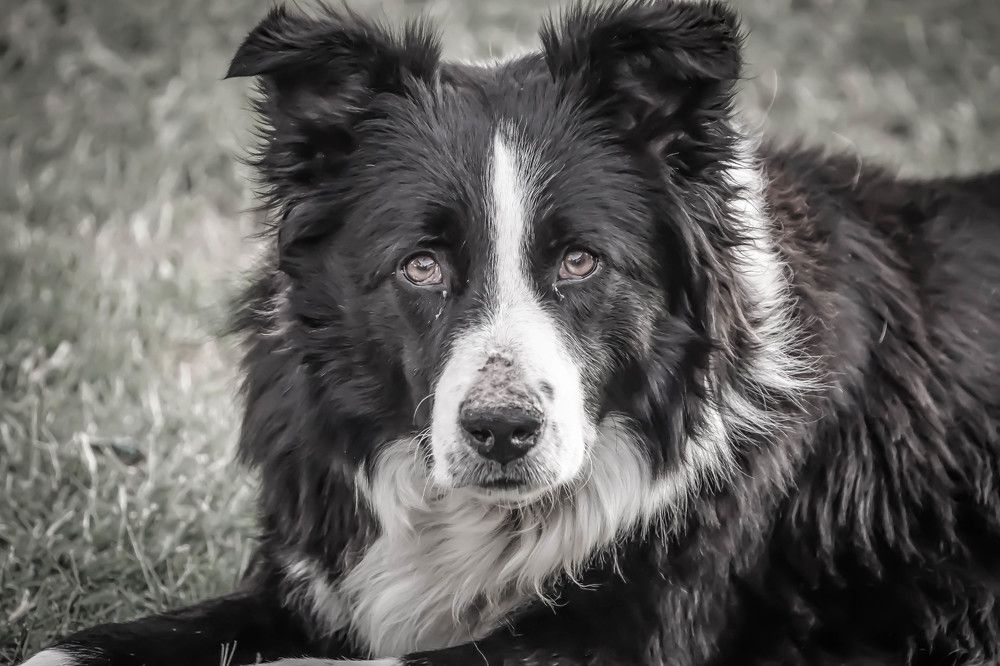 Photograph by Karina Elena Bergagna