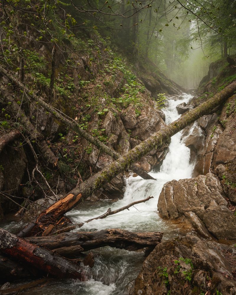 Photograph by Александр Битюков