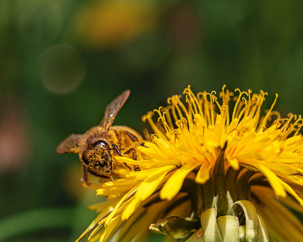 Photograph by Ольга Сергеенко