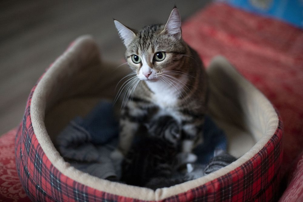 Photograph by Elena Kostochkina