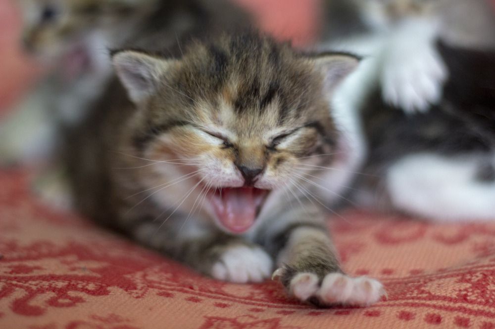 Photograph by Elena Kostochkina