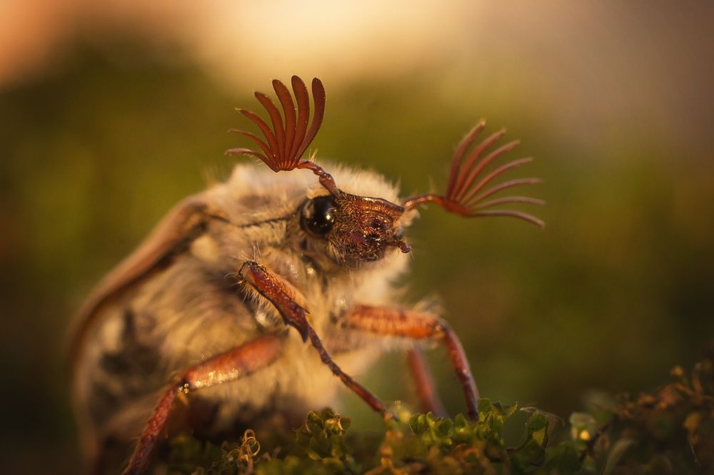 Photograph by Виктория Мамаева