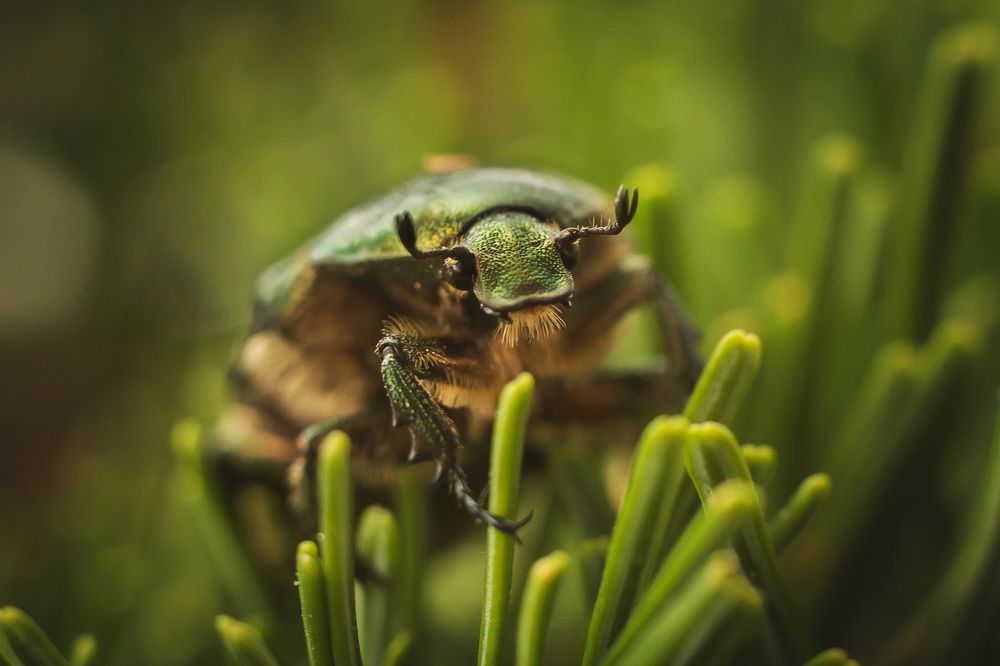 Photograph by Виктория Мамаева