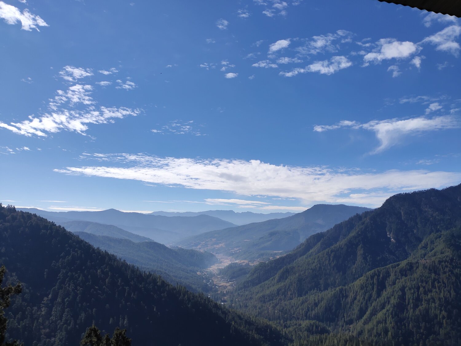 Photo #6137719
