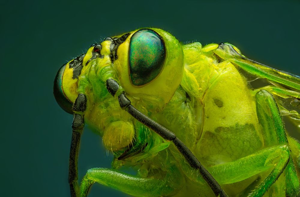 Photograph by Иван Радьков