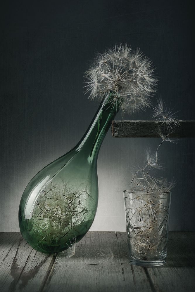 Dundelion Wine1. Вино из одуванчиков.