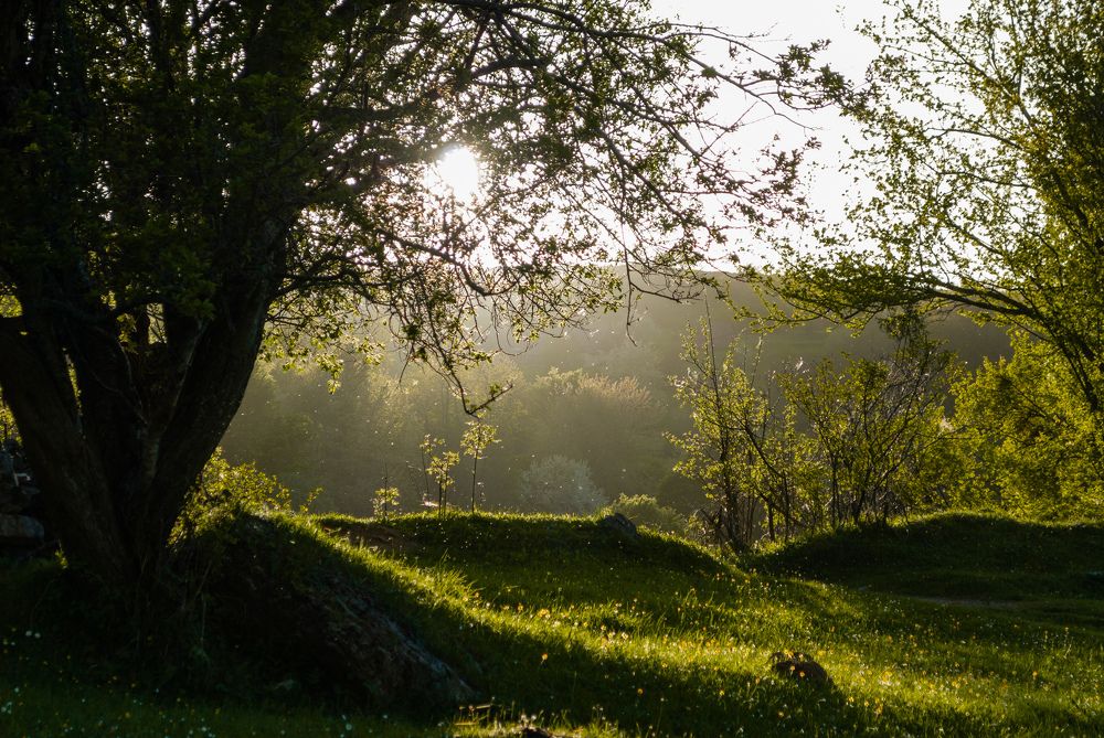 Photograph by Jusuf Suplja