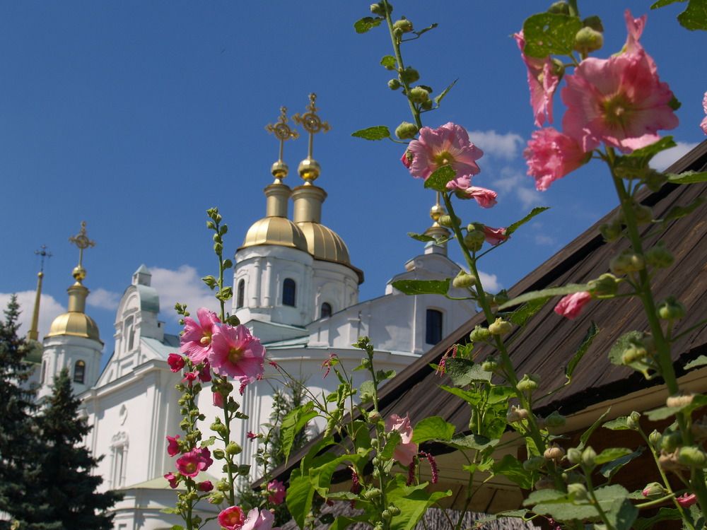 Photograph by аркадий