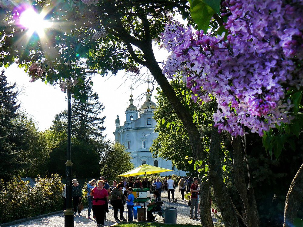 Photograph by аркадий