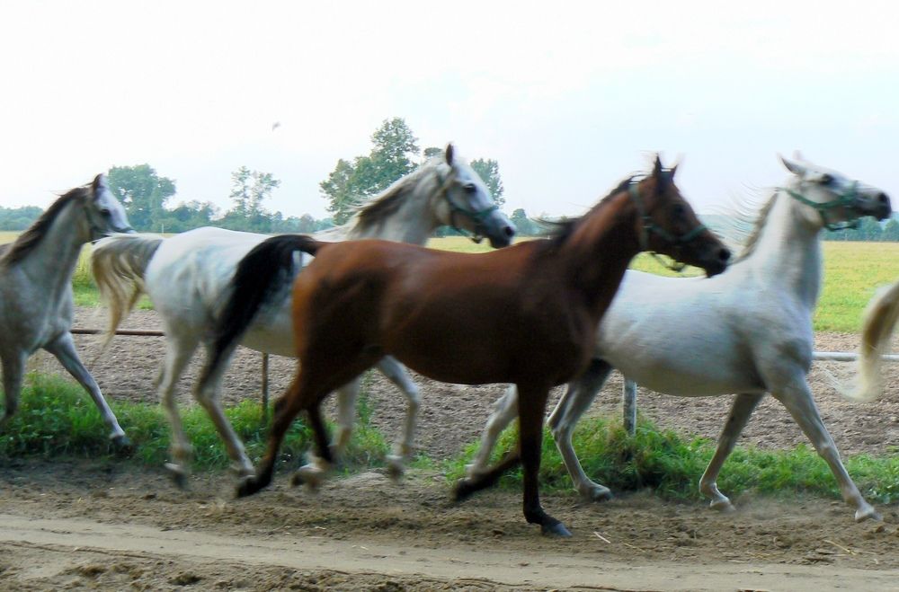 Photograph by Agnieszka Kondracka-Bylińska