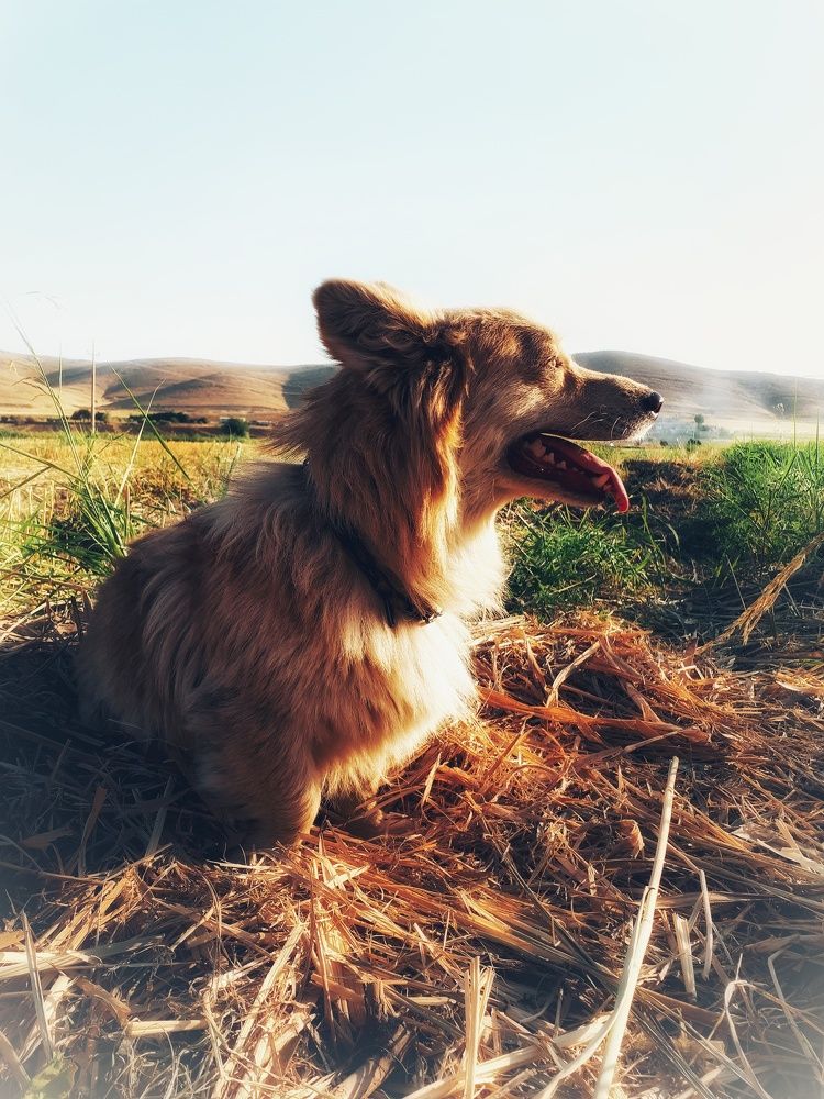 Photograph by Khosro Sayadi