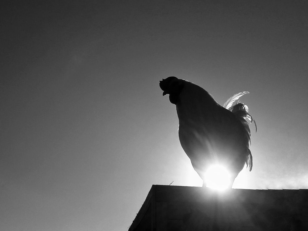 Photograph by Khosro Sayadi