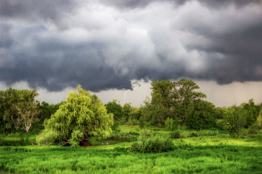 Photograph by Екатерина Нефедова