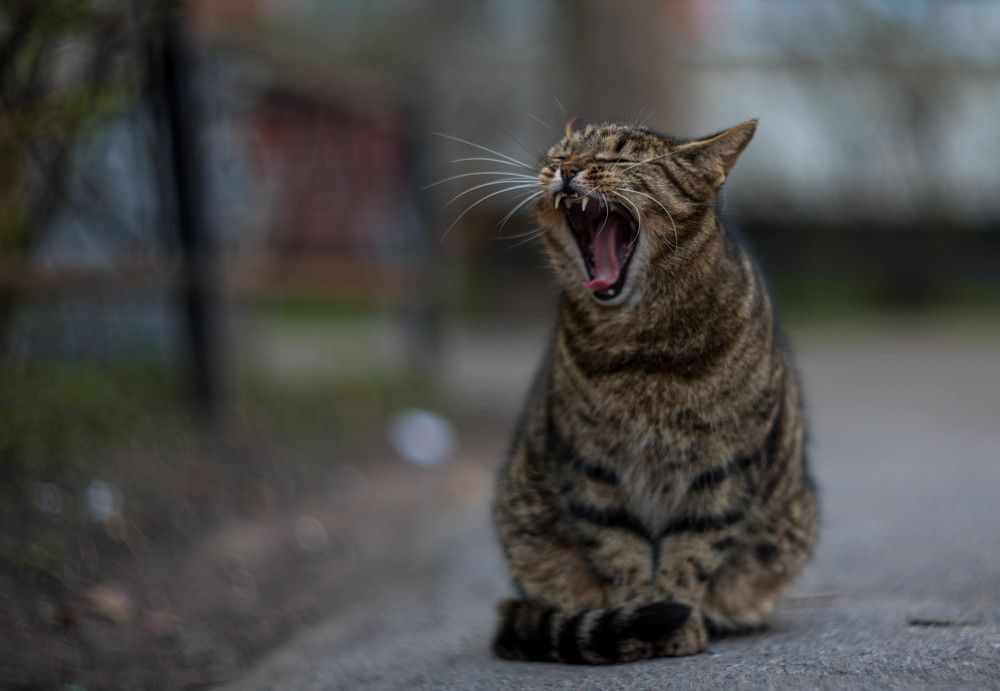 Photograph by Kirill Yakowlew