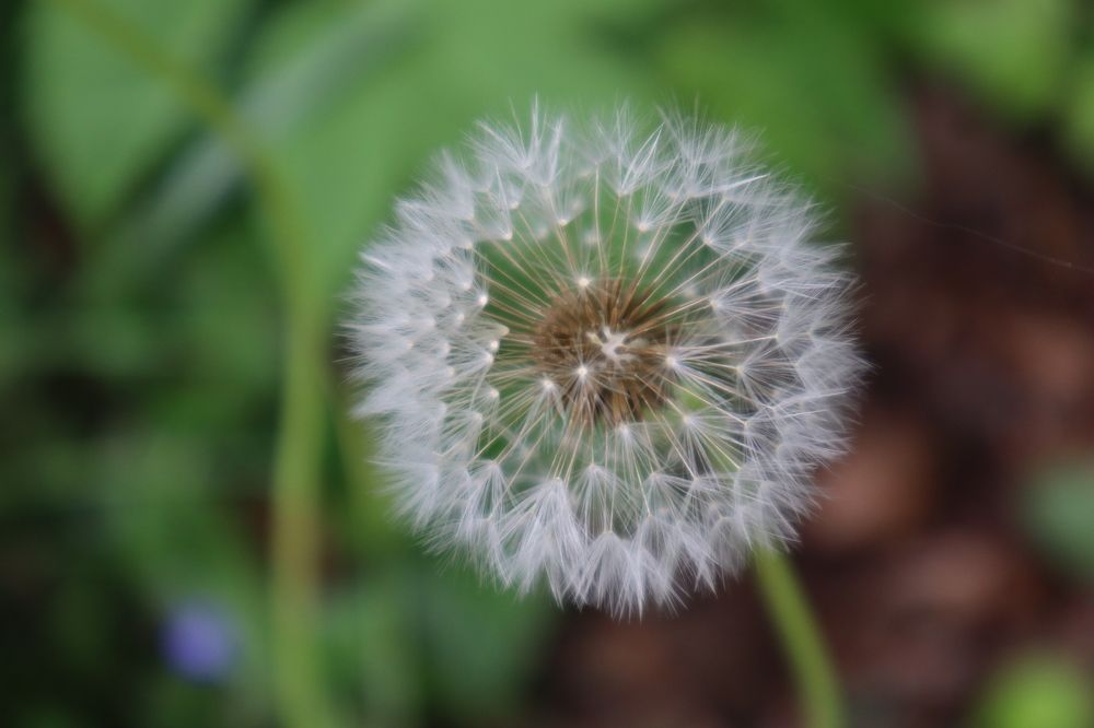 Photograph by Денис Геранькин