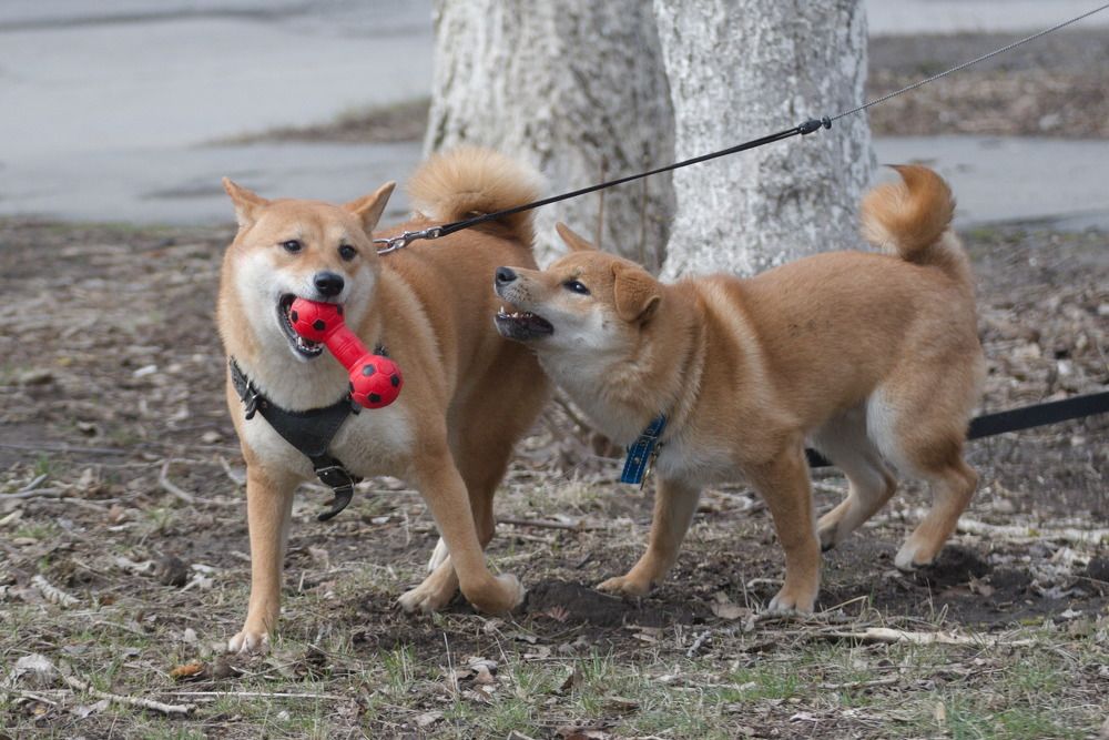 Photograph by Башлаев Константин