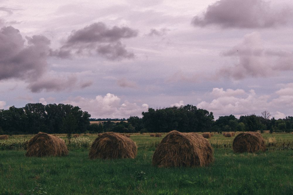 Photograph by Светлана Збраилова