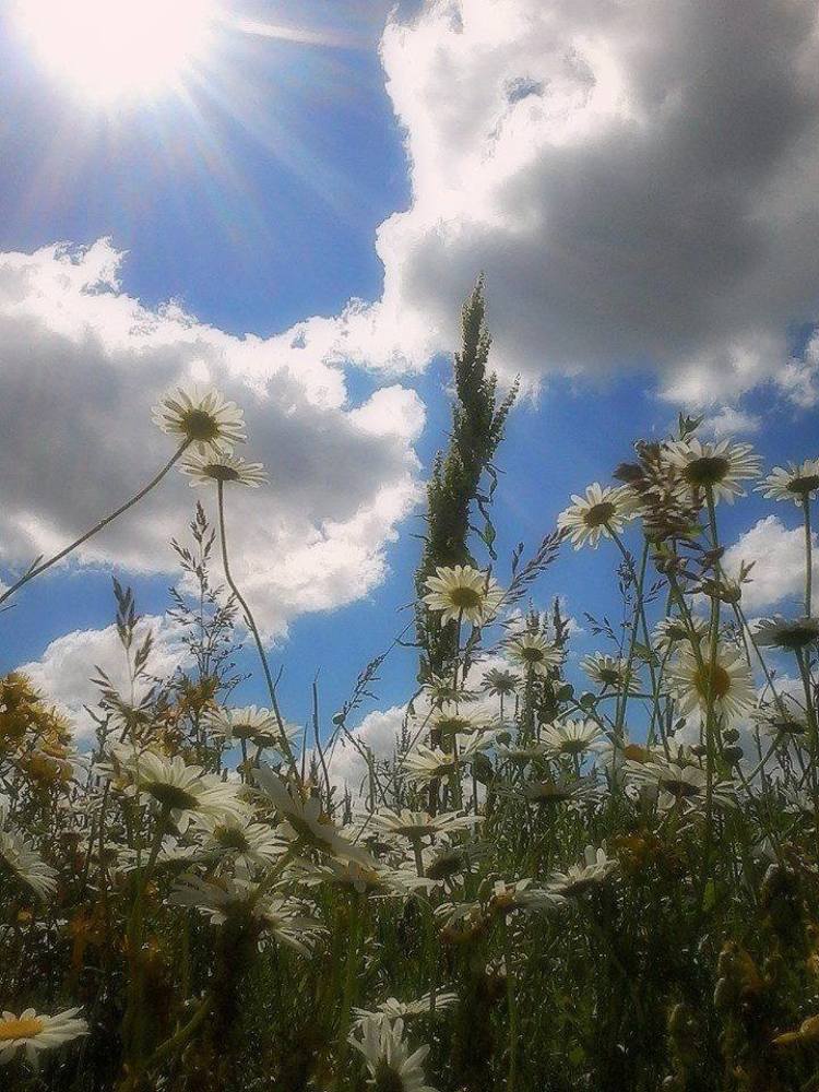 Райский уголок  на Земле