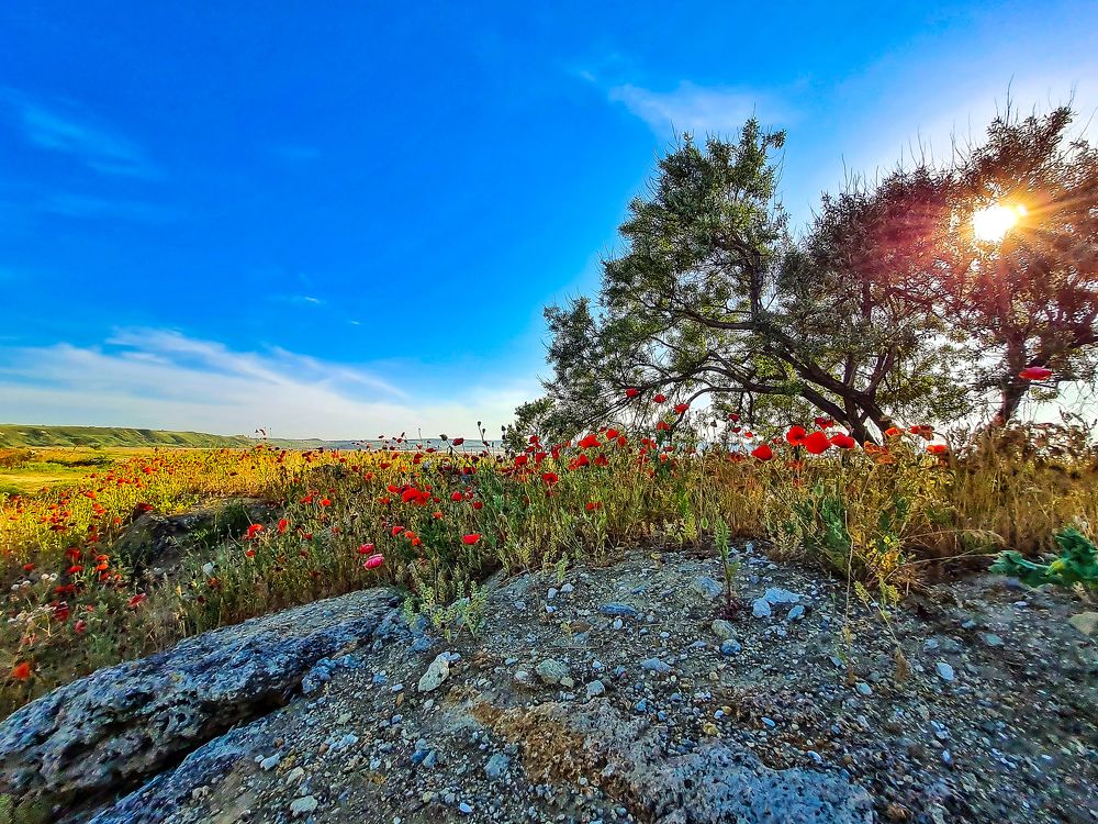 Photograph by Лариса Когтева