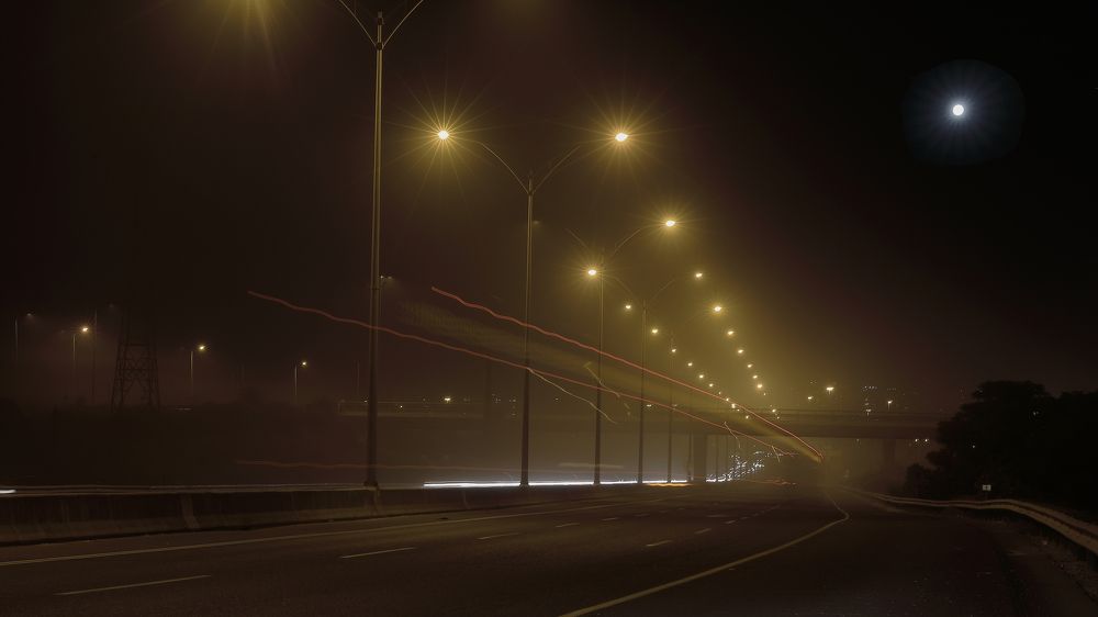 Photograph by Hillel Shatz