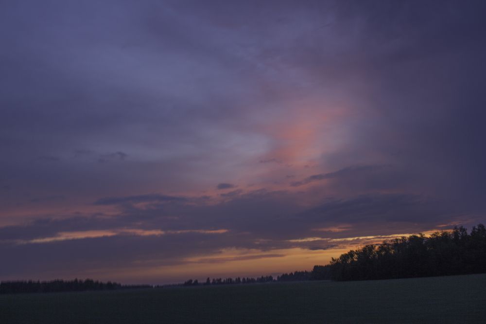 Пока не стемнело