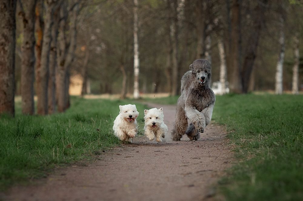Photograph by Чистякова Валерия