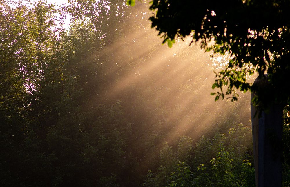 Photograph by Егор Горшков