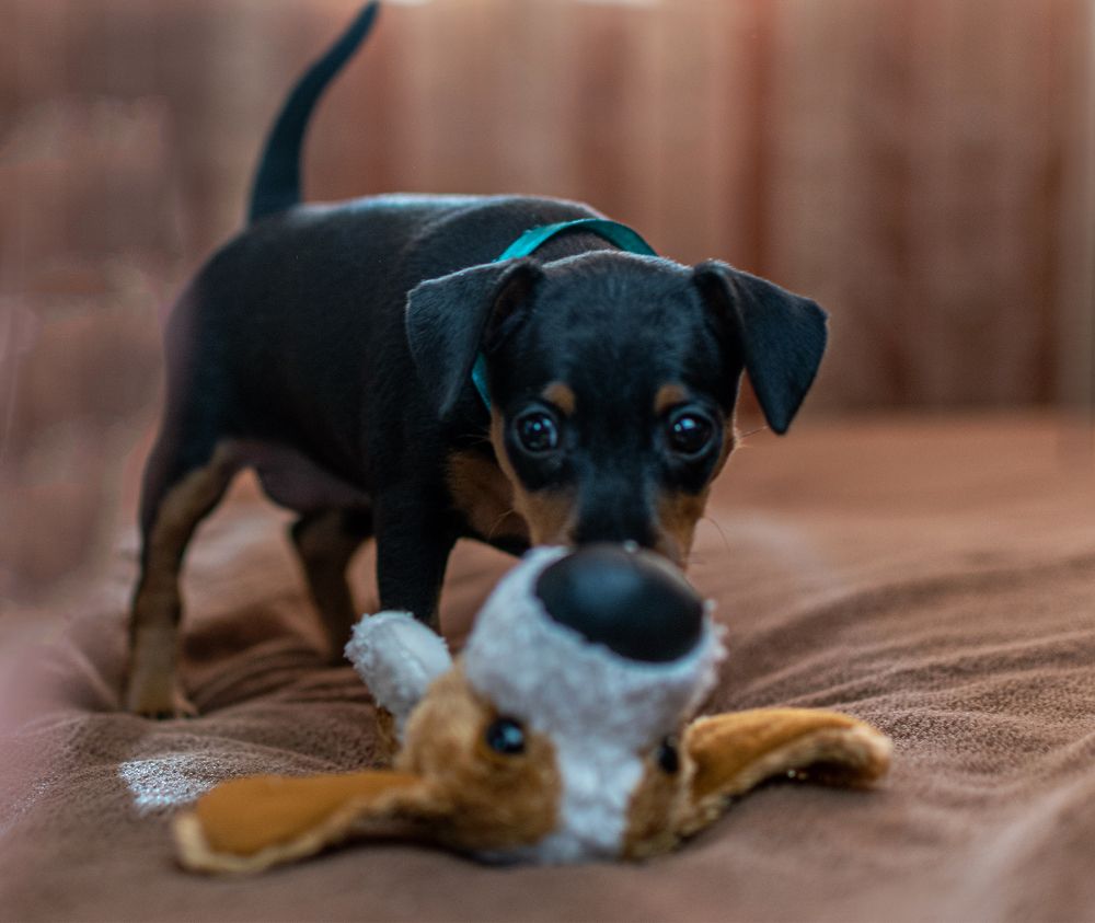 Photograph by Ольга Доловова