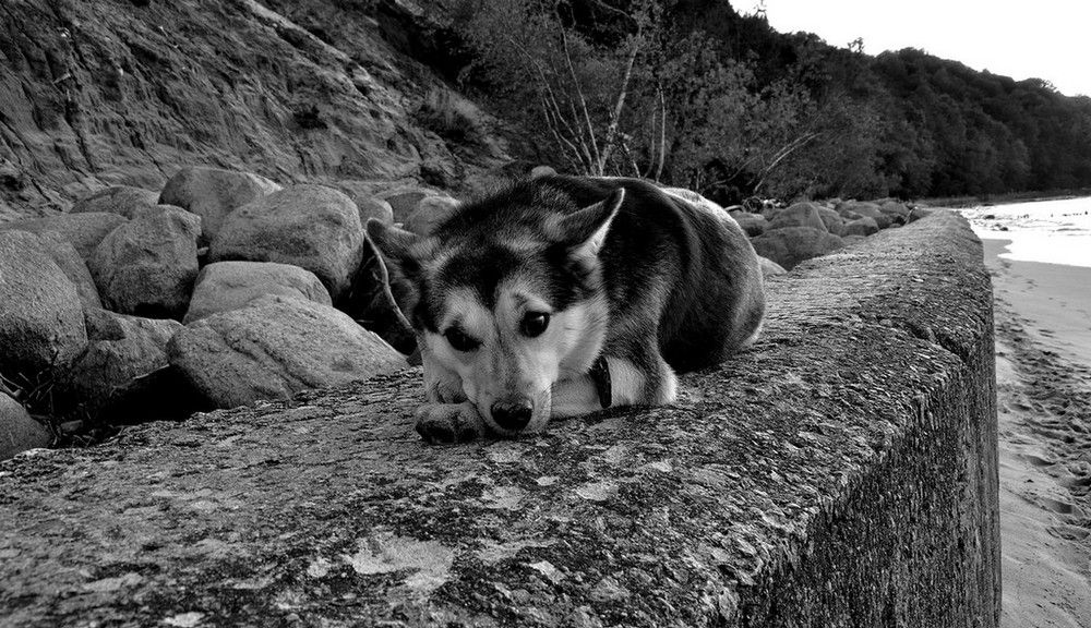 Photograph by Николай Бабаянц