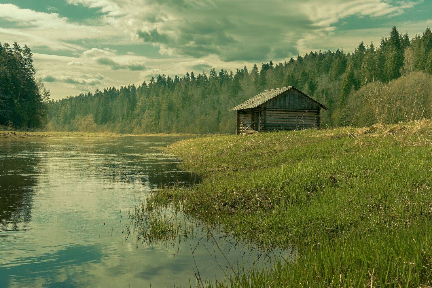 Фотография #6138054