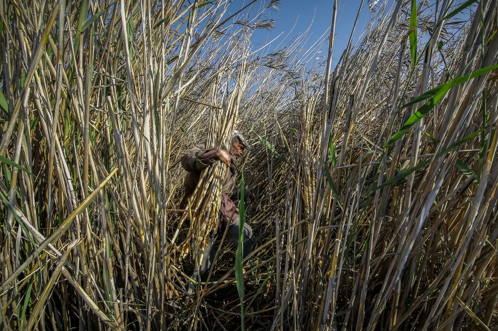 Photograph by meethaq naeem