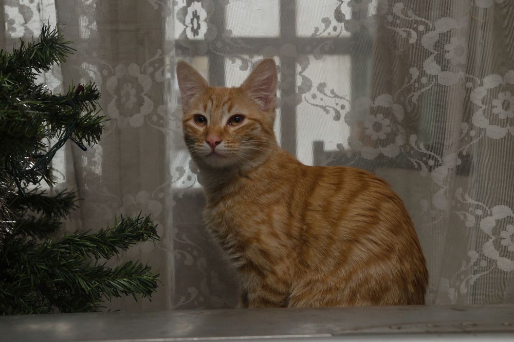 Photograph by Башлаев Константин